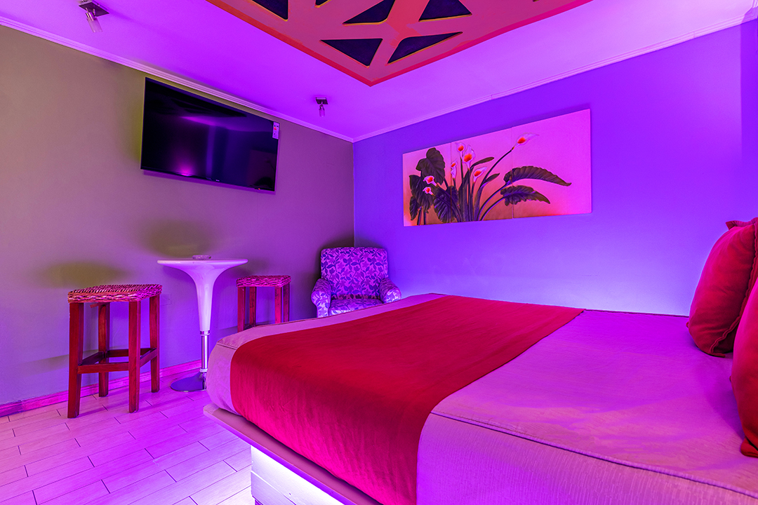 Suite Ejecutiva